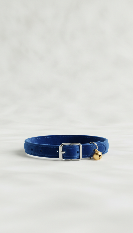 Designer Cat Collar in Loyal Blue
